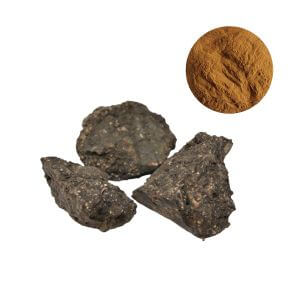 Shilajit Extract Powder – Bulk Supplier for Cognitive & Joint Health Formulas