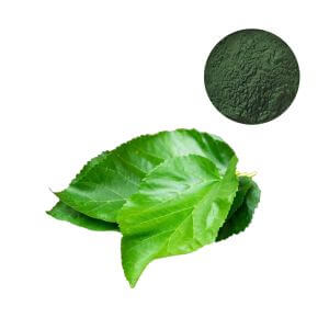 Wholesale Sodium Copper Chlorophyllin powder, USP/FCC grade ingredient for clean-label brands.