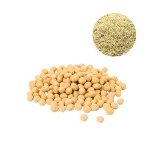 Standardized soy isoflavones extract powder 40% and 80% sample for commercial sourcing.
