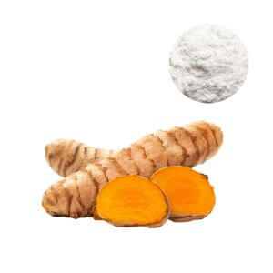 Pure white tetrahydrocurcumin powder specification benchmark for B2B procurement