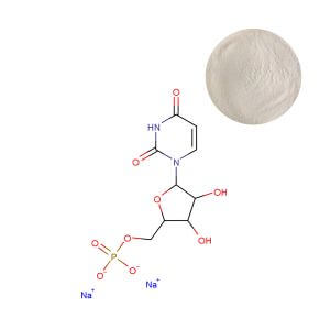 Uridine Monophosphate Disodium powder thumbnail, pure GMP ingredient for memory support formulations