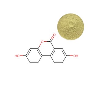 Urolithin A Composite Image - Natural NAD+ Booster Derived from Pomegranate