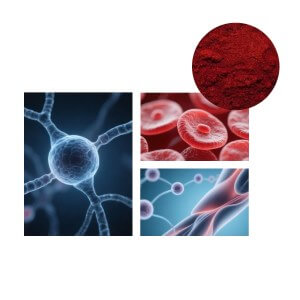 Methylcobalamin B12 powder - high bioavailability active form