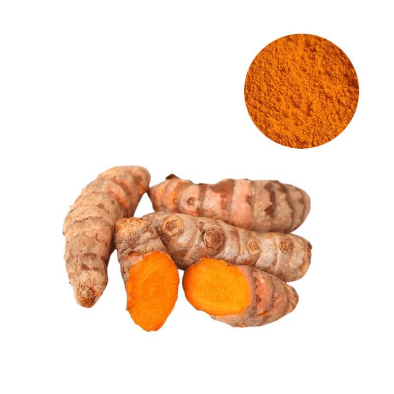 Bulk 95% Turmeric Curcumin Extract Powder - Sourced from Curcuma Longa Rhizome