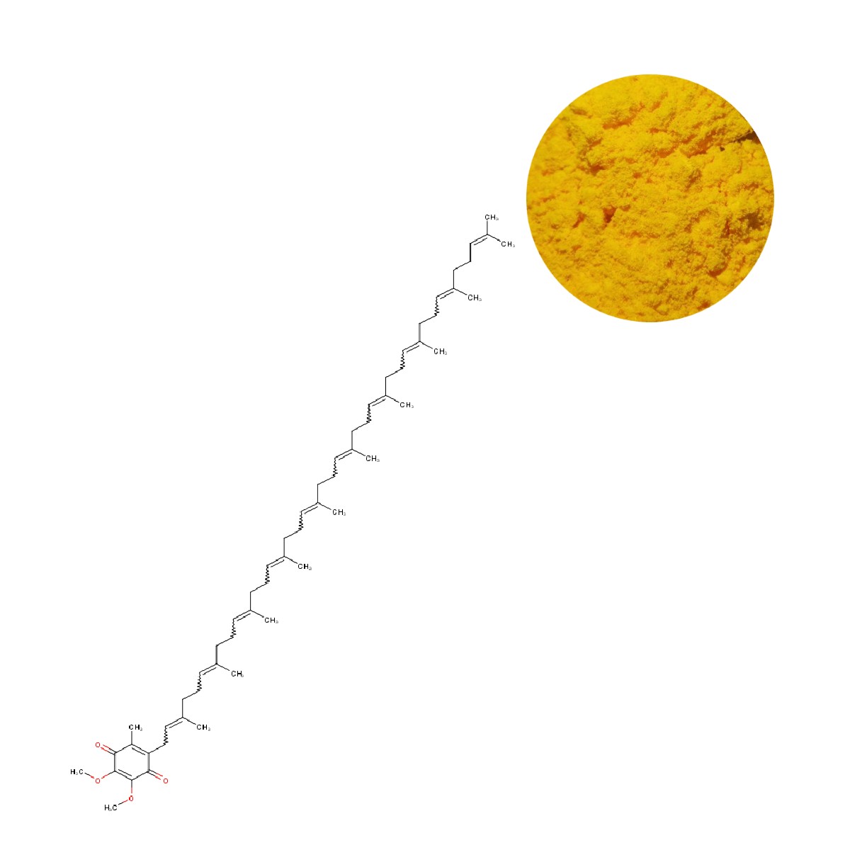 Ubiquinone CoQ10 Raw Material Powder - Molecular Diagram and Bulk Ingredient | Oclean Nutra Supplier