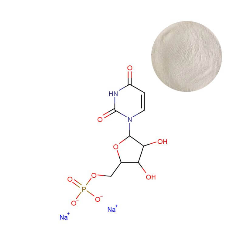 Uridine Monophosphate Disodium powder with molecular structure, ≥98% purity HPLC-verified GMP-certified ingredient for cognitive health supplements