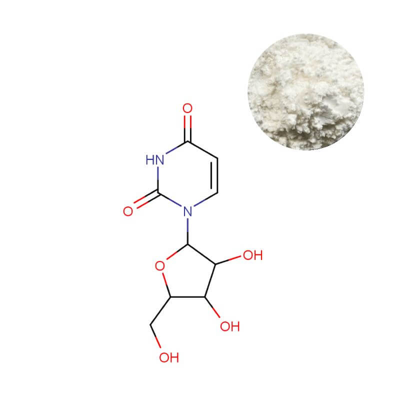 Uridine Powder and Molecular Structure (C9H12N2O6) - High-Purity Ingredient for Nootropic Formulations