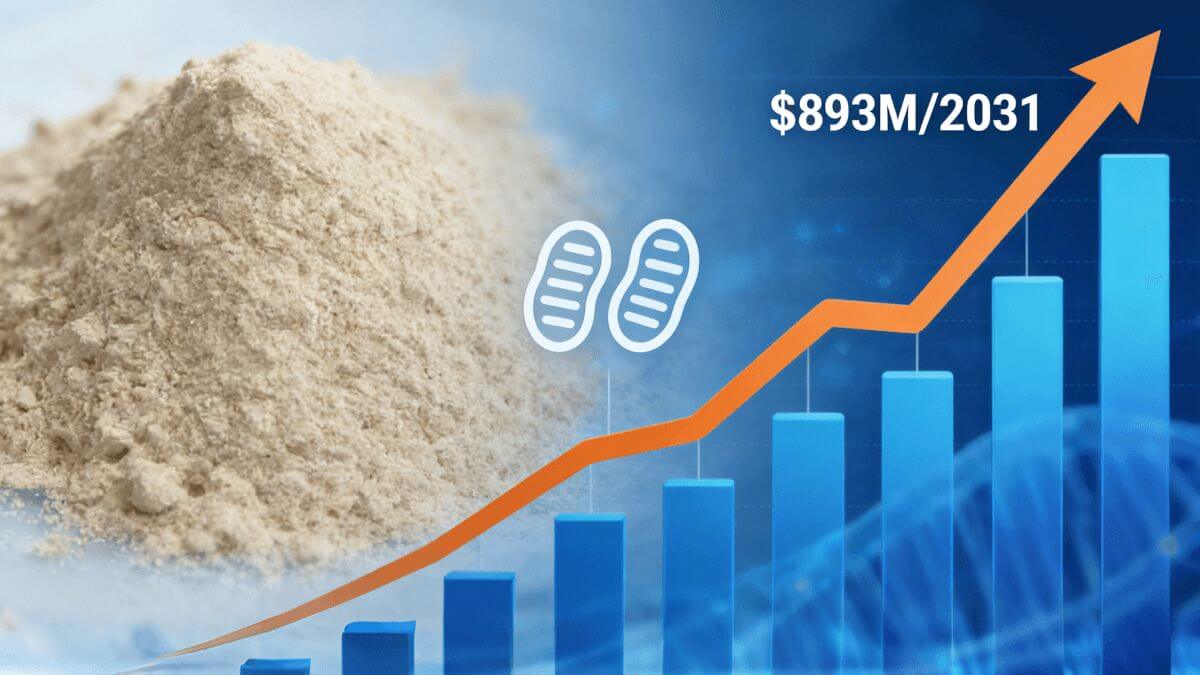 Urolithin A powder next to a graph showing market growth projection to $893 million by 2031