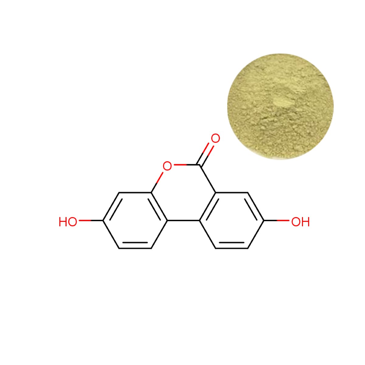 Urolithin A Powder and Molecular Structure (C13H8O4) - Clinically Studied Mitophagy Activator