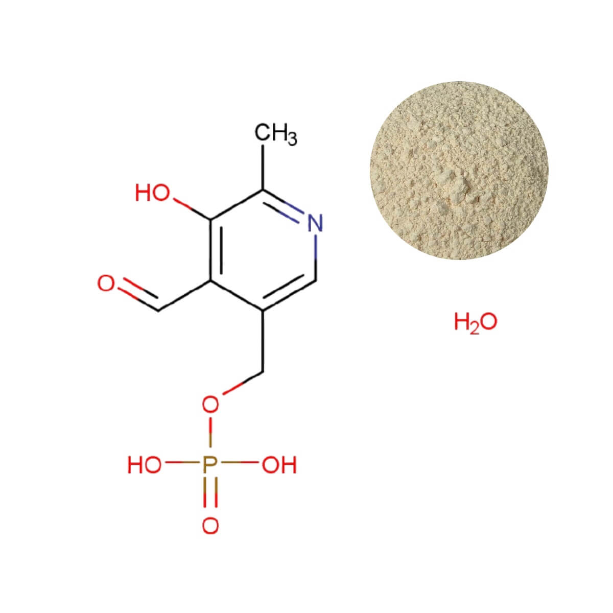 Vitamin B6 P5P (Pyridoxal-5-Phosphate) active powder (molecular structure), coenzyme for neurotransmitter synthesis, homocysteine metabolism support