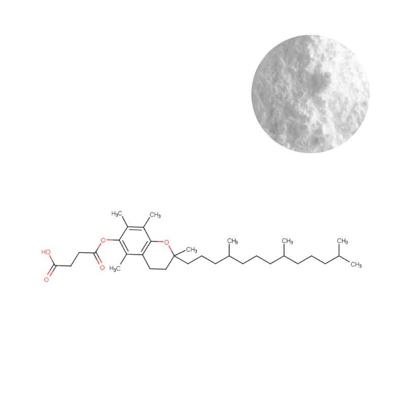 Vitamin E Succinate Powder - High-Stability Formula for Tablets & Processed Foods | Molecular Structure Shown | Oclean Nutra