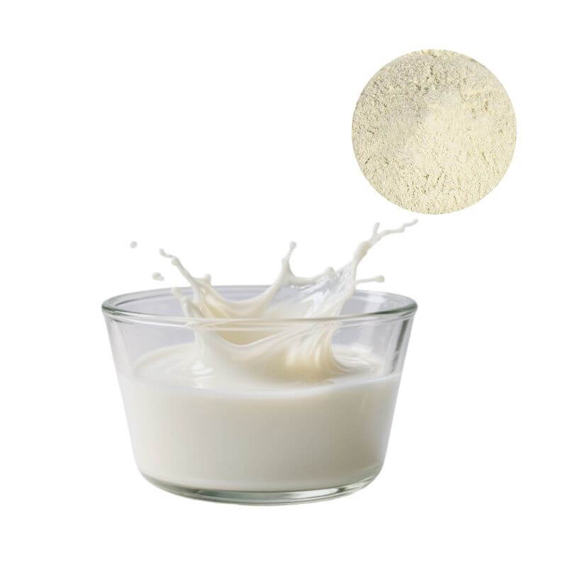 Whey Protein Isolate Powder displayed with fresh milk, representing the natural dairy source for premium protein supplements.