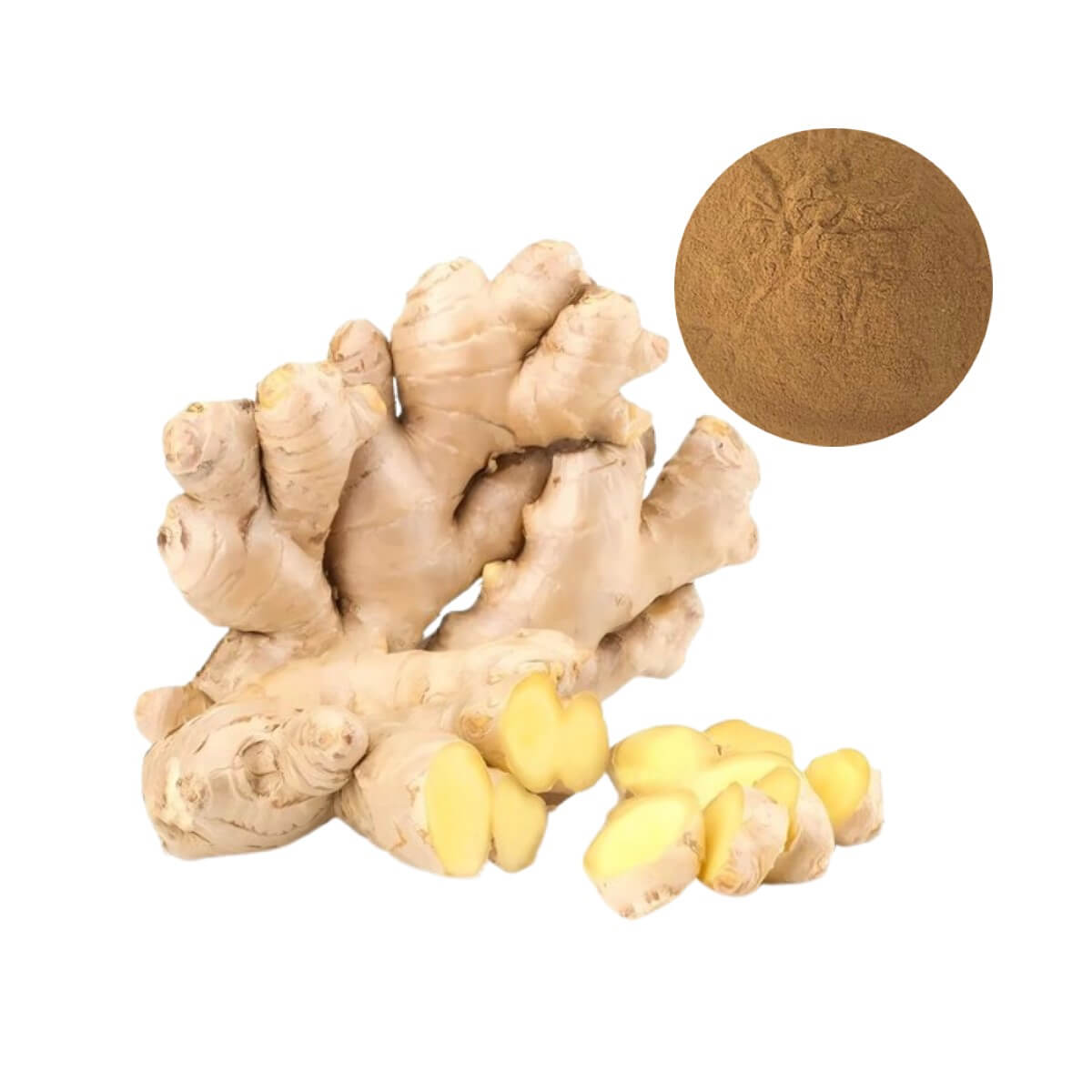 Zingerone bulk powder, a high-purity ingredient supplied by Oclean Nutra, shown with fresh ginger.